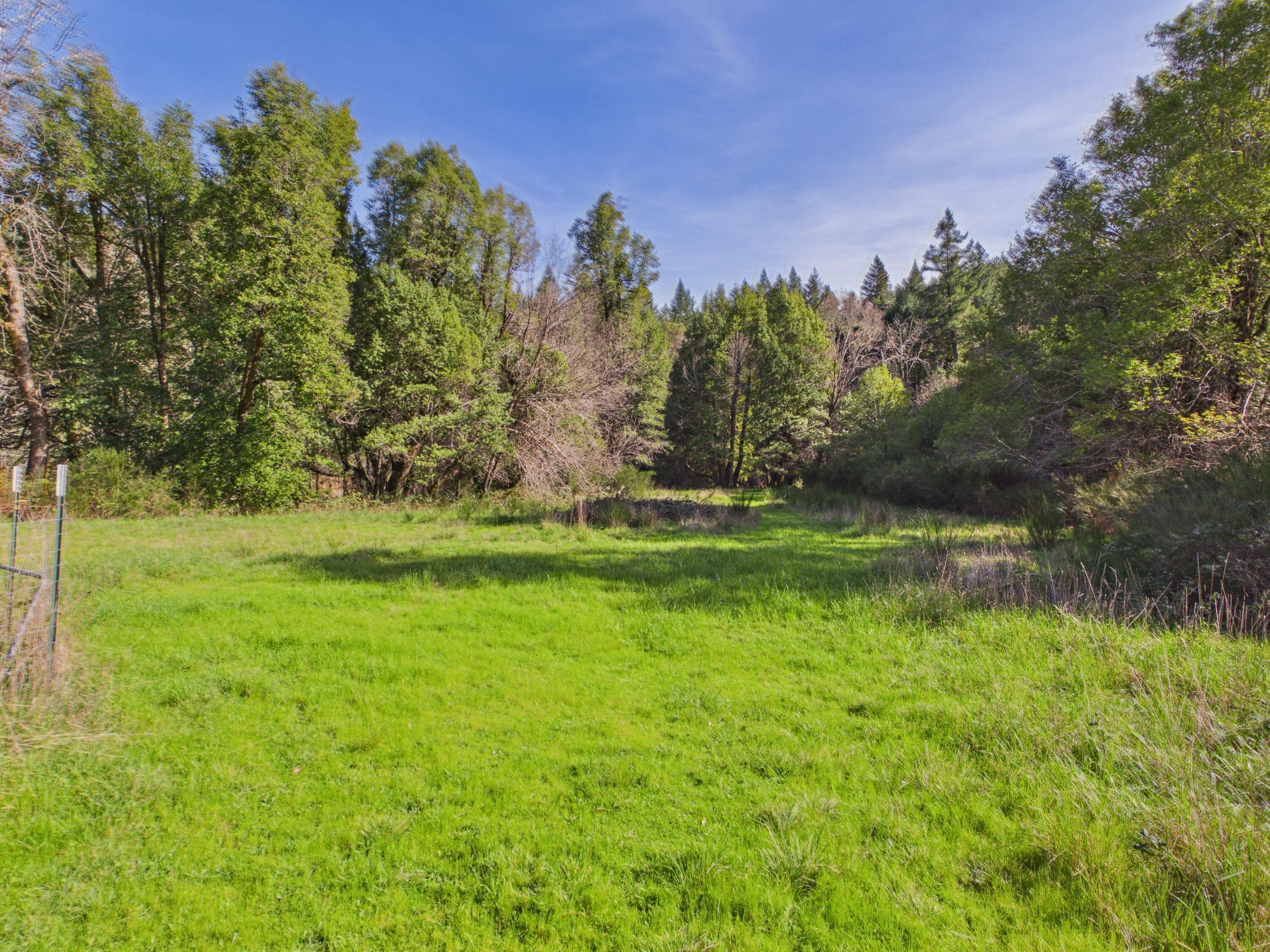 5350 Briceland Road Redway, CA 95560 - Photo 34 of 44