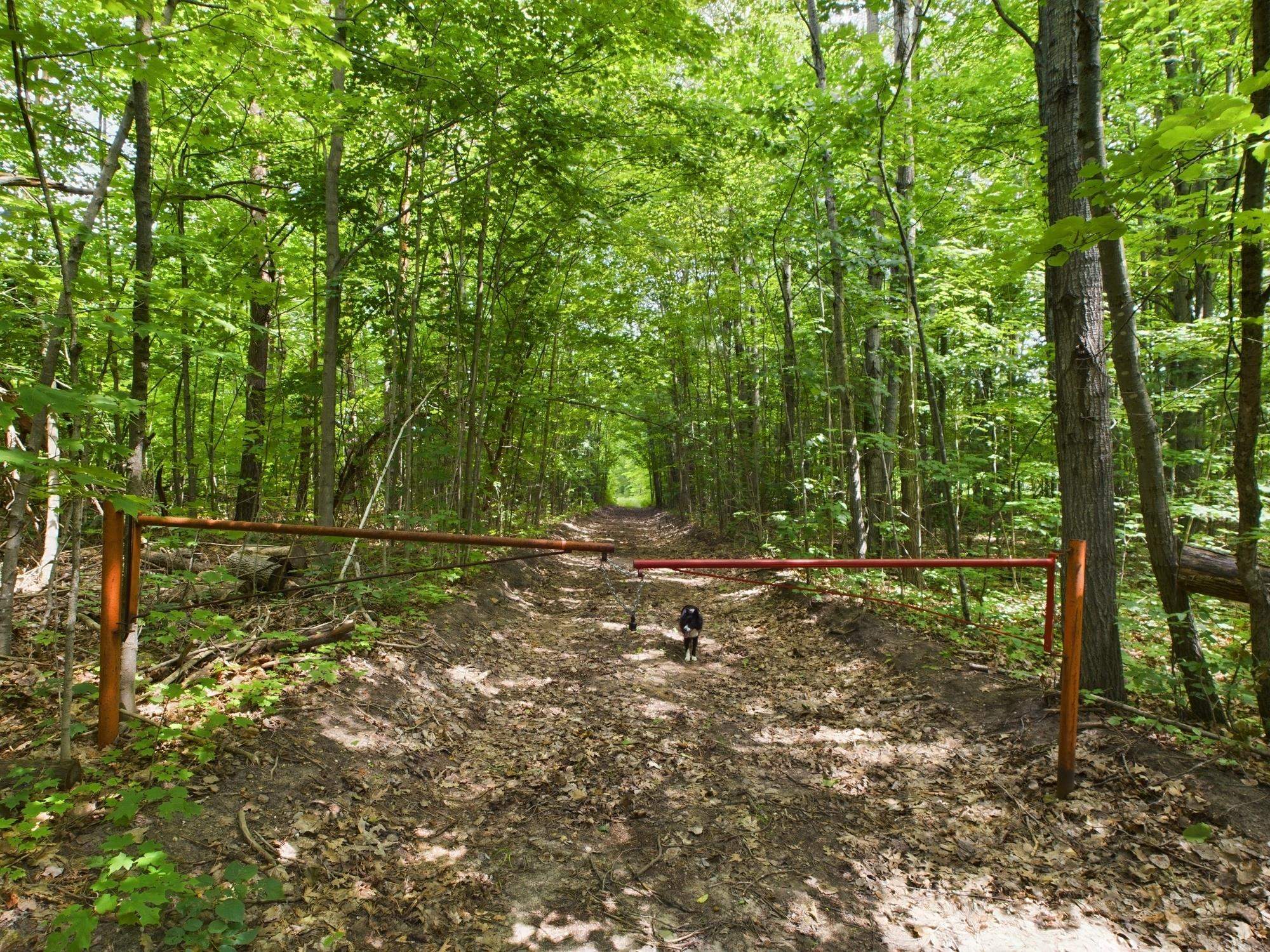 0 North Reynolds Road Interlochen, MI 49643 - Photo 20 of 22