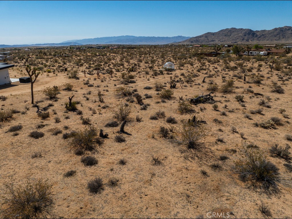 60119 Sunny Sands Drive Joshua Tree, CA 92252 - Photo 12 of 21 a view of a yard