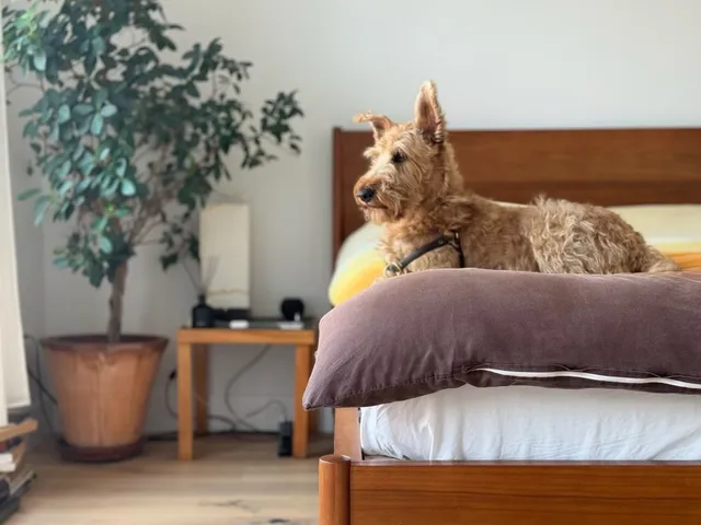 a view of living room