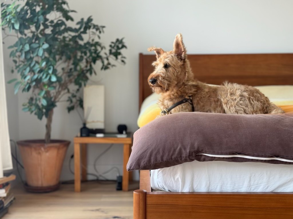 189 Conover Street, Unit 2A Brooklyn, NY 11231 - Photo 17 of 27 a view of living room