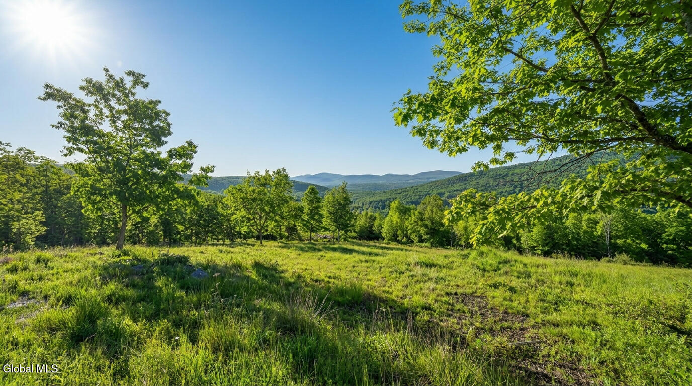 L10.10 Cheese Hill Road Preston Hollow, NY 12469 - Photo 8 of 56 10.10-Cheese-Hill-Rd-Rensselaerville-ext