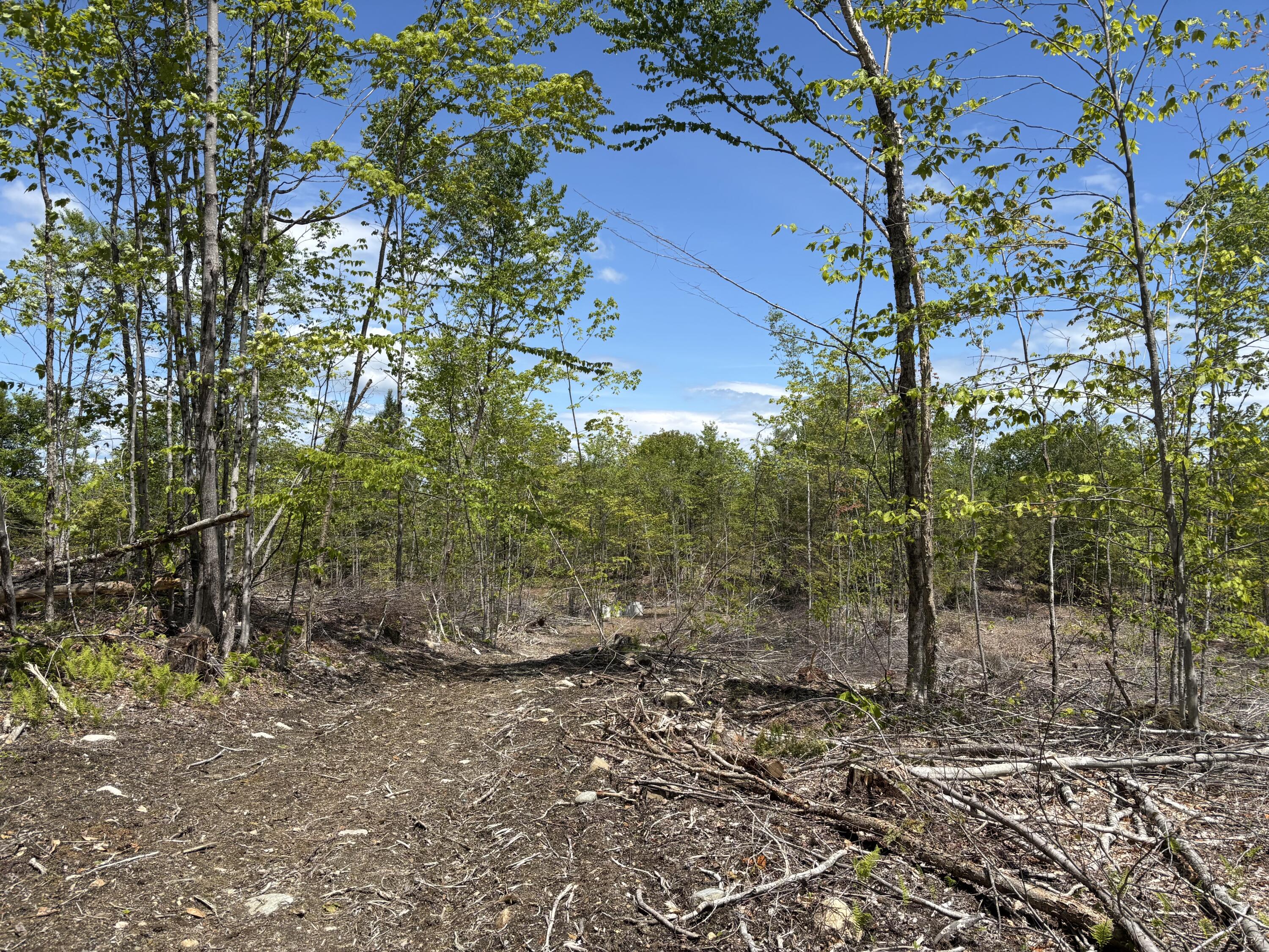 2-l 1 Off Bean Road Mercer, ME 04957 - Photo 3 of 14 IMG_2360