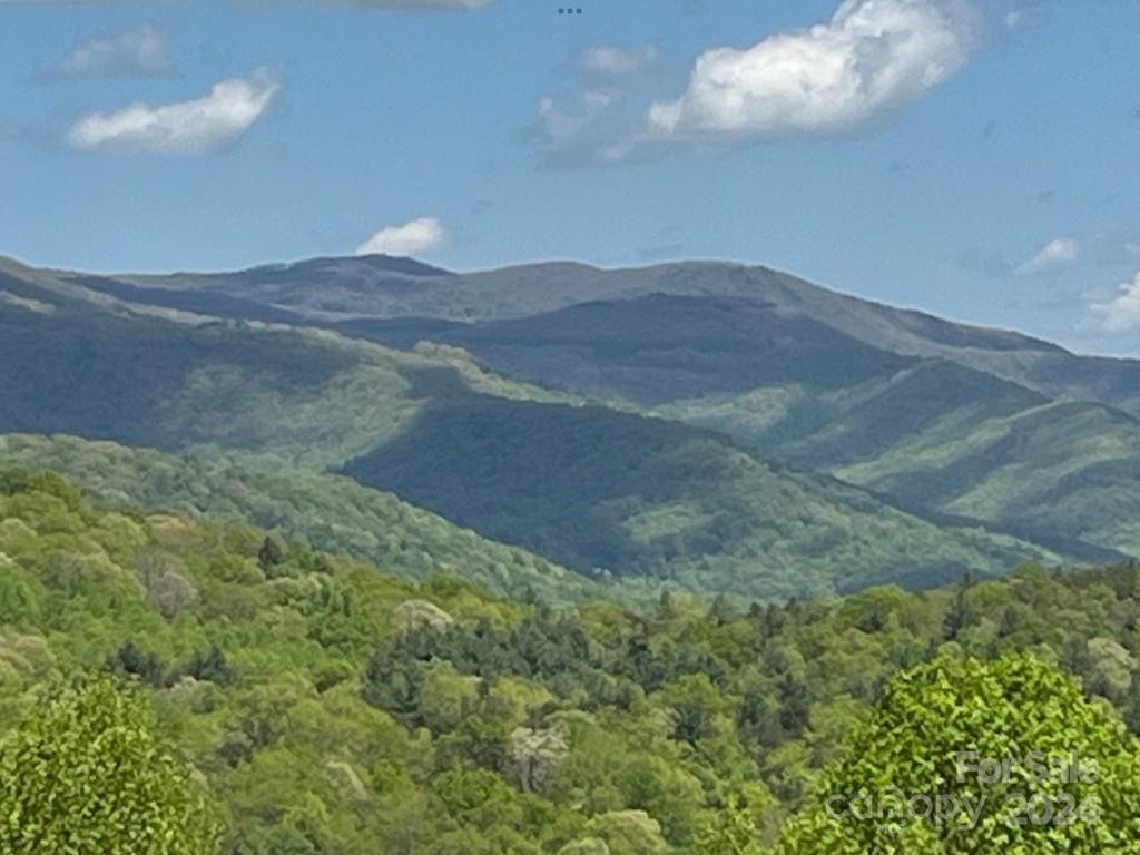 30 Pinkerton Corner Fairview, NC 28730 - Photo 31 of 31 a view of outdoor space and mountain view