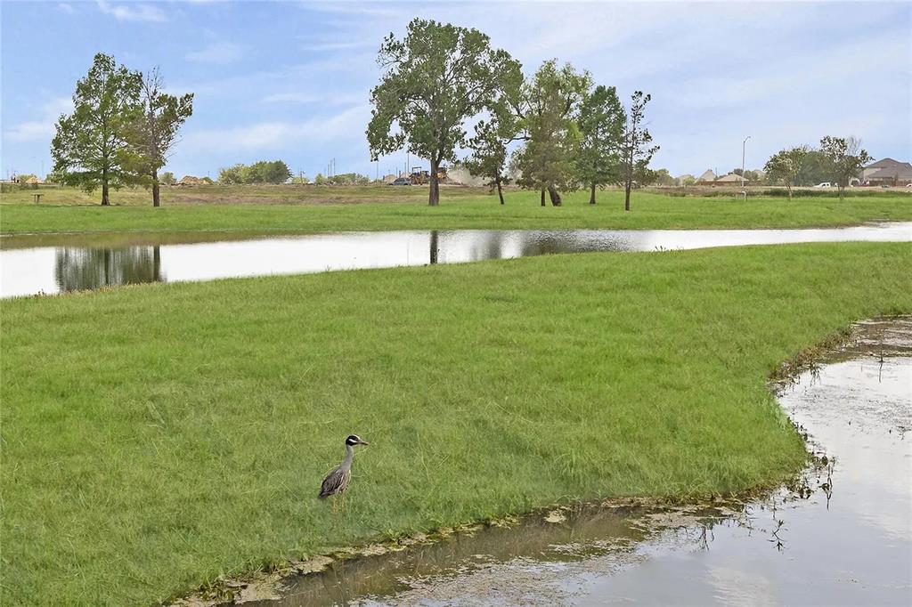1632 Pavin Lane Fort Worth, TX 76052 - Photo 36 of 37 a view of a lake with a lake view
