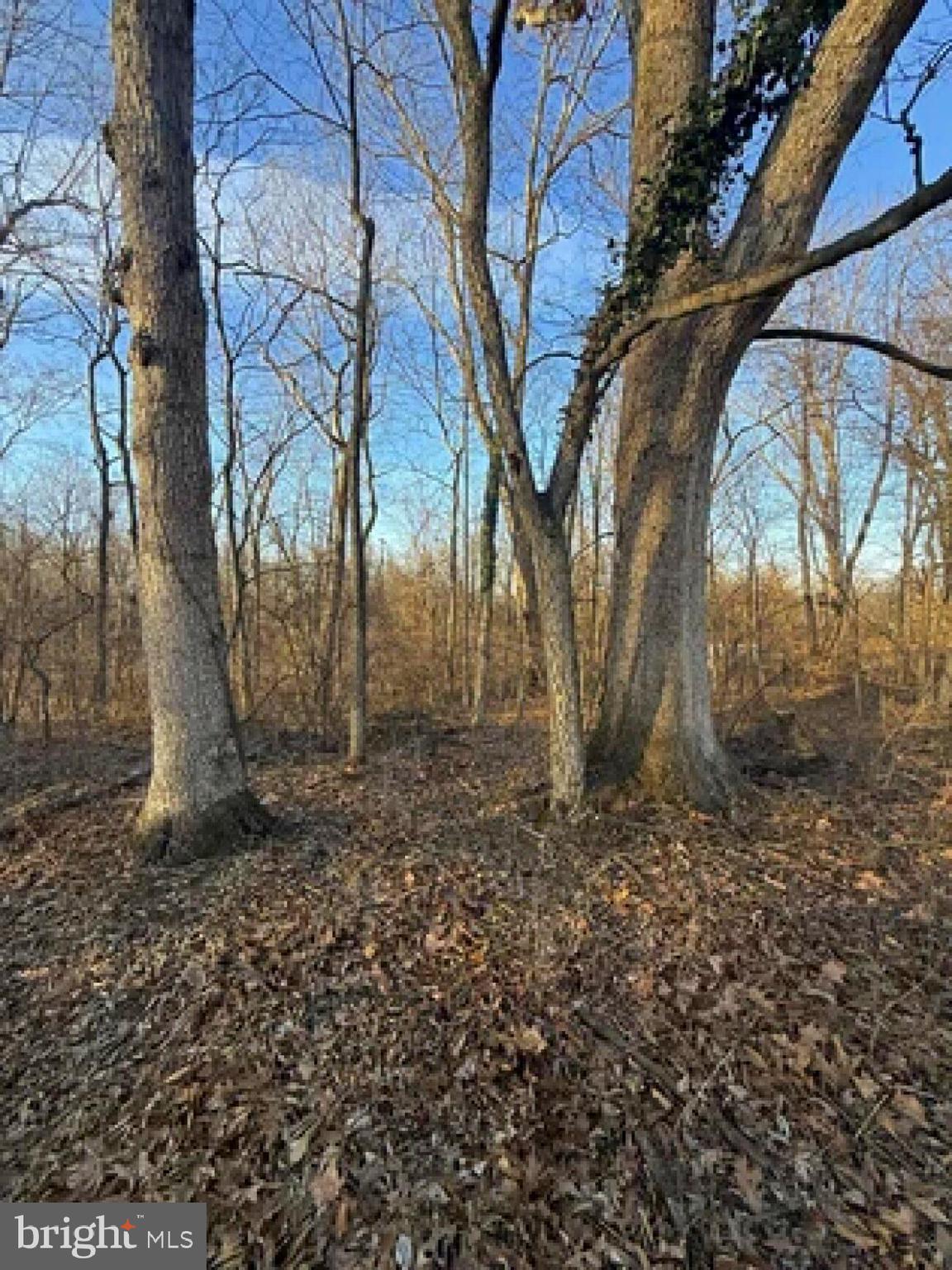 2152 Ritner Highway Carlisle, PA 17015 - Photo 21 of 22