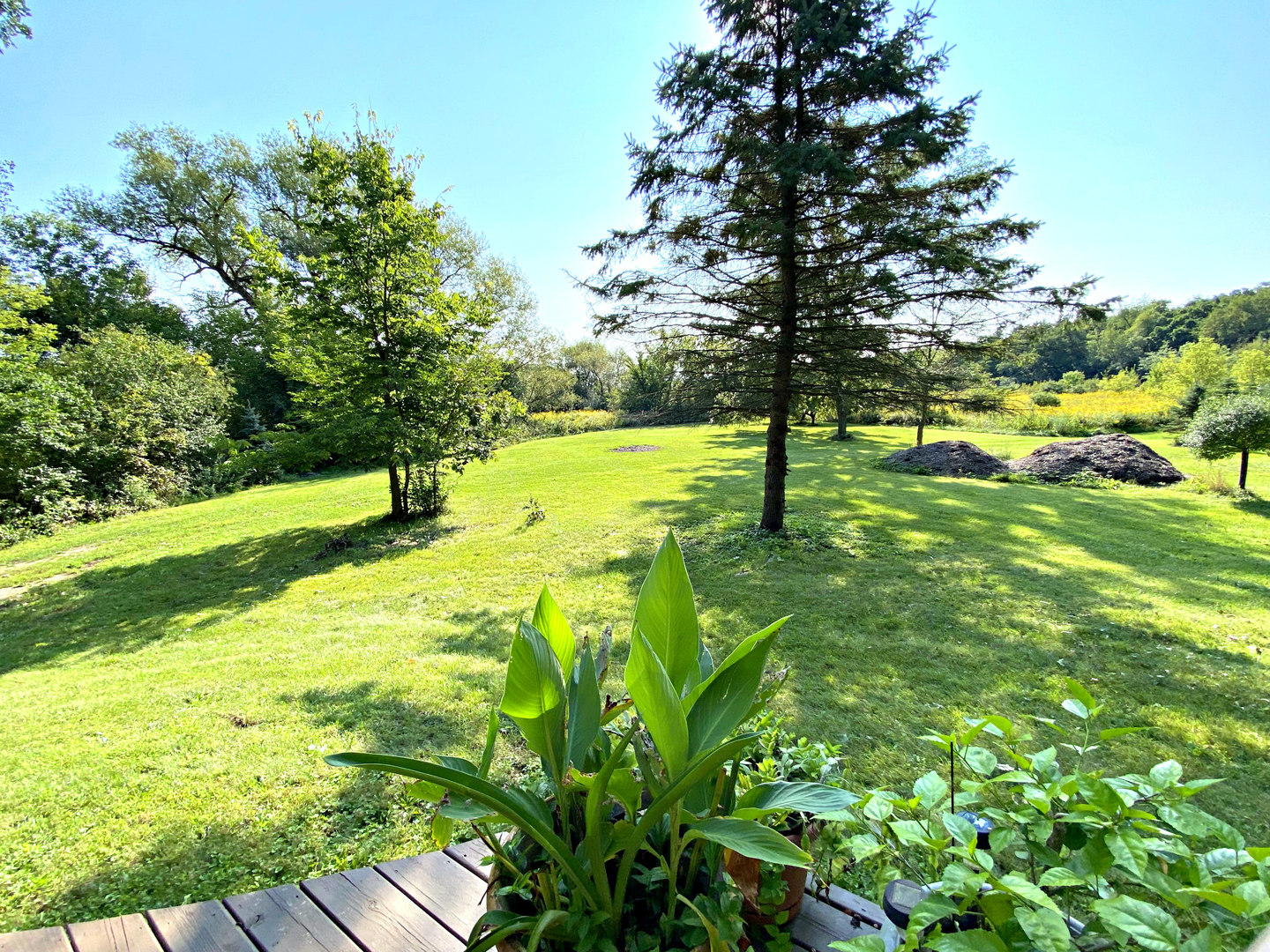 17301 O'Brien Road Harvard, IL 60033 - Photo 30 of 33 a view of yard with green space