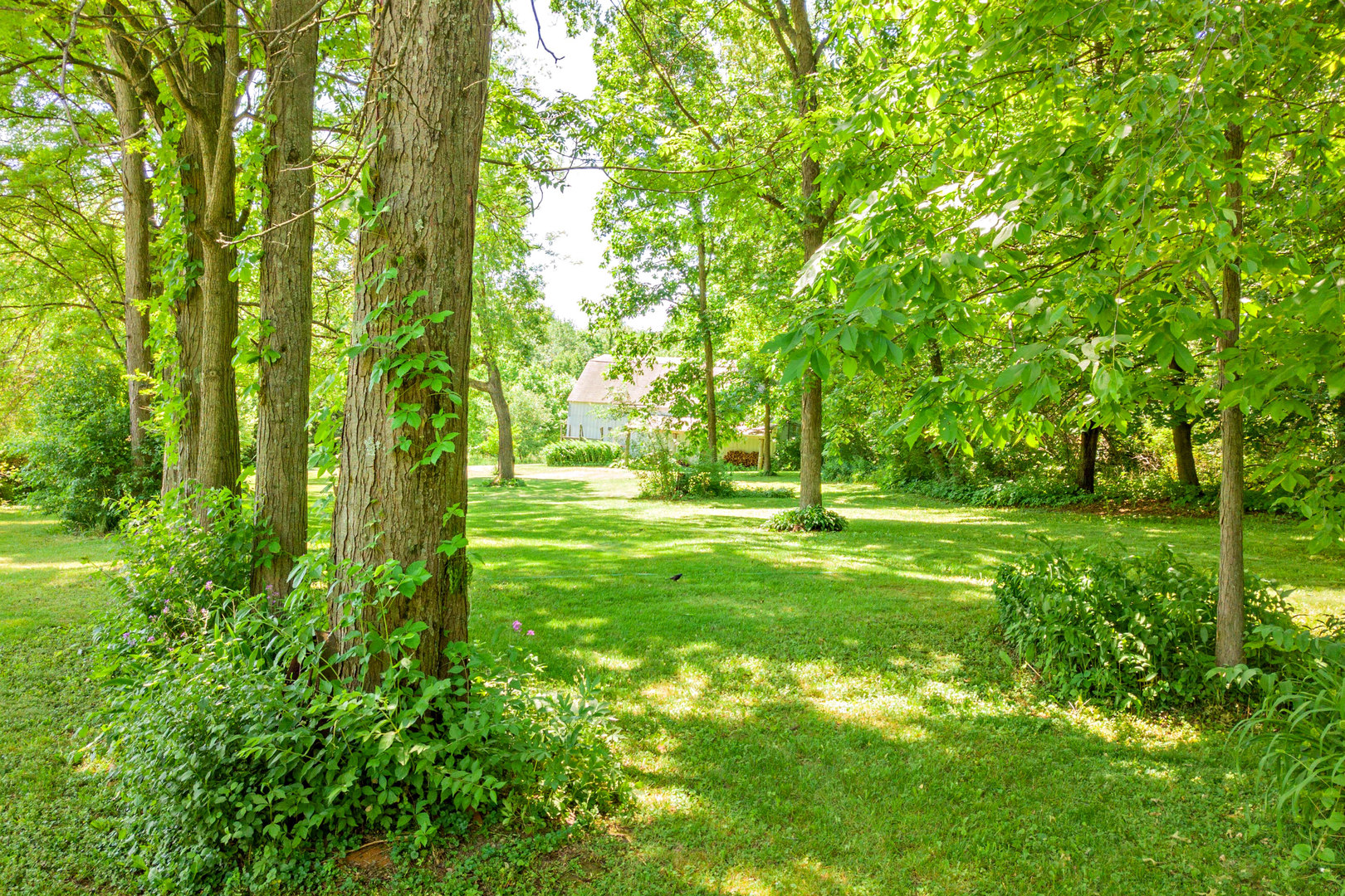 17301 O'Brien Road Harvard, IL 60033 - Photo 6 of 33 a view of field with trees