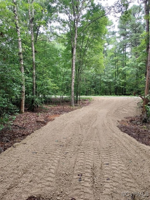 14271 Stage Road Lanexa, VA 23089 - Photo 5 of 14 View of road