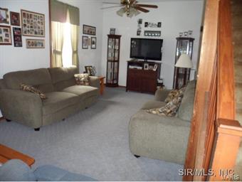 6641 Roachtown Road Millstadt, IL 62260 - Photo 3 of 24 Gallery Image 3