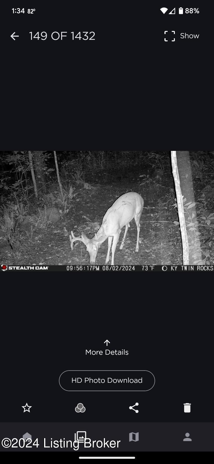 0 Beaver Dam Road Lost Creek, KY 41348 - Photo 23 of 35 IMG_0512