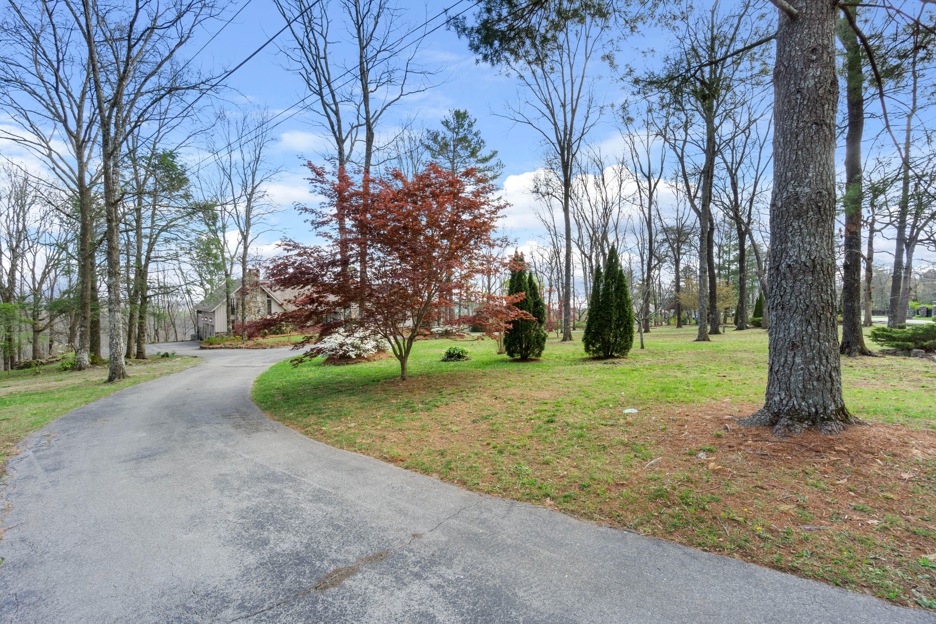 2802 Kell Road Signal Mountain, TN 37377 - Photo 70 of 102 2802 Kell Rd-2
