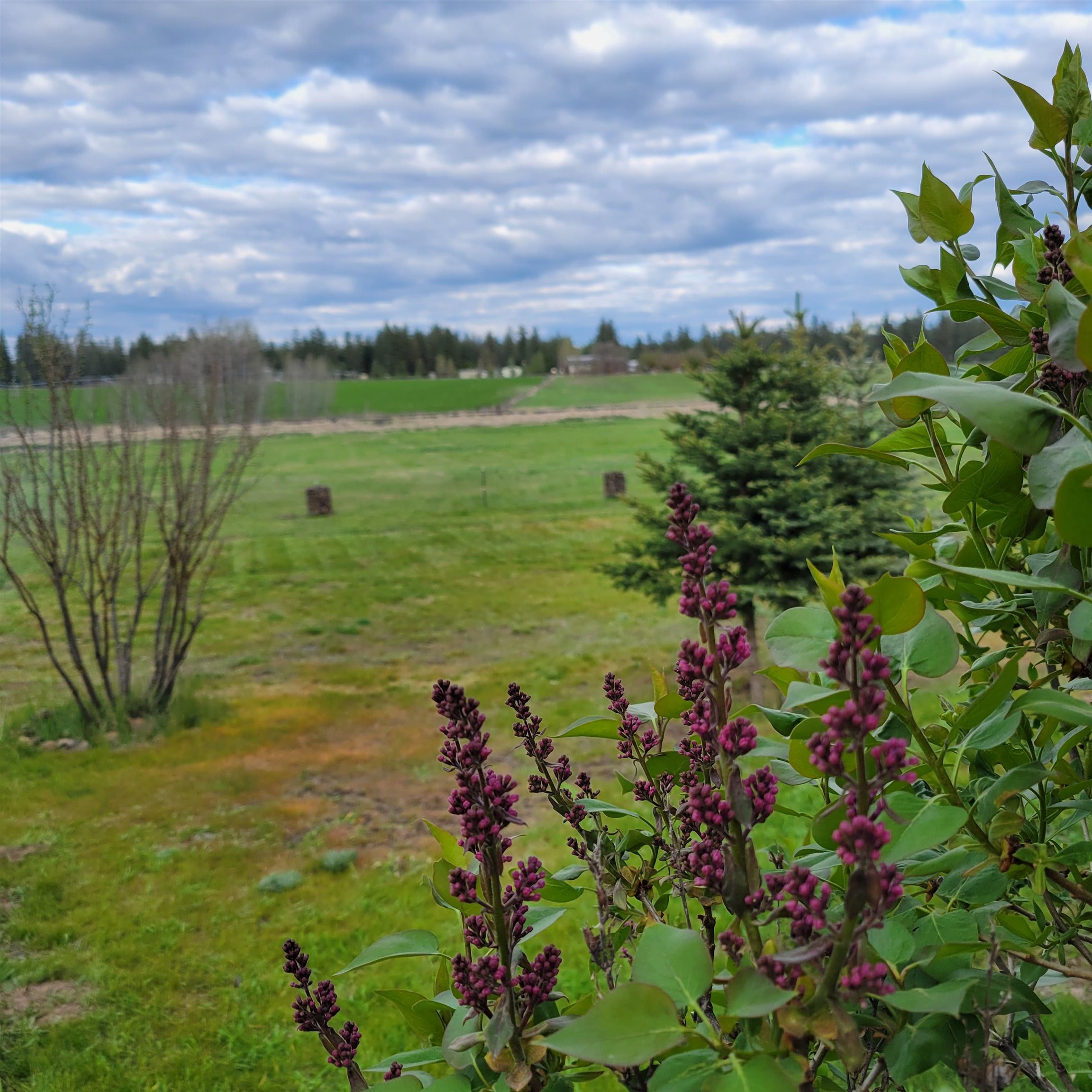 15515 South Curtis Road Cheney, WA 99004 - Photo 33 of 41
