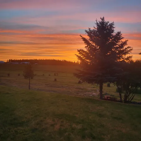 $545,000 | 15515 South Curtis Road, Cheney, WA 99004