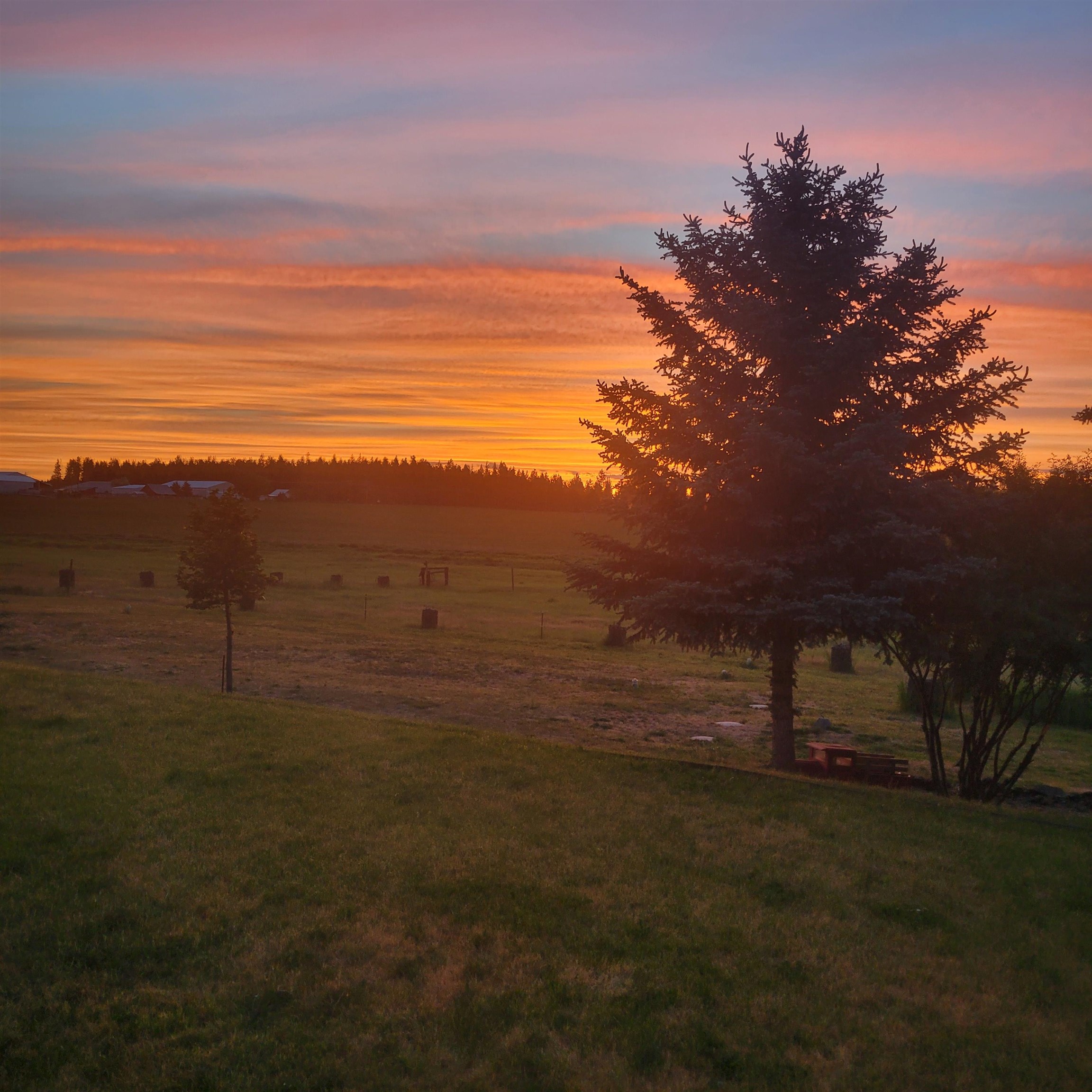 15515 South Curtis Road Cheney, WA 99004 - Photo 38 of 41