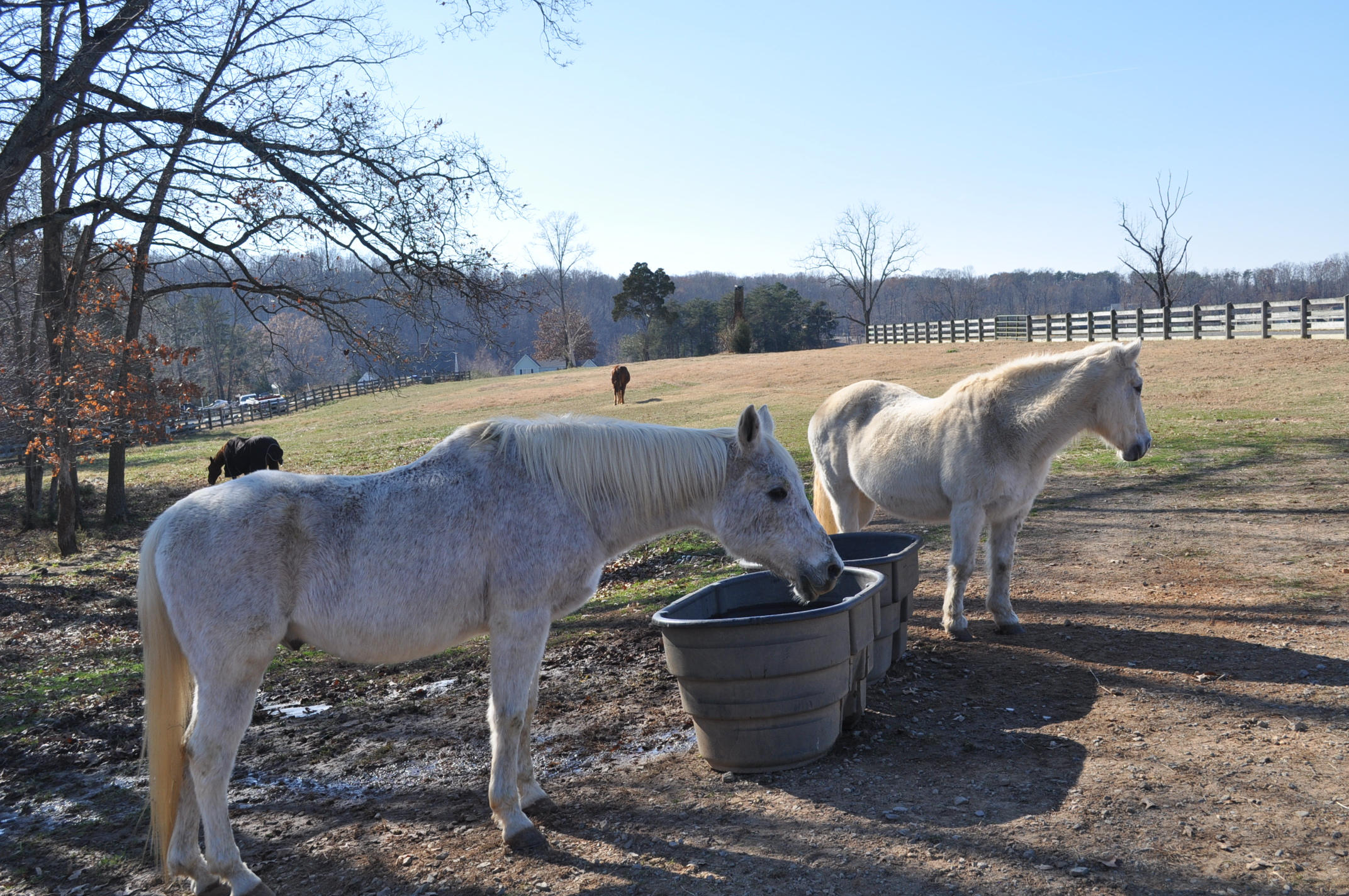 Lot 29 Waters Edge Drive Penhook, VA 24137 - Photo 6 of 11