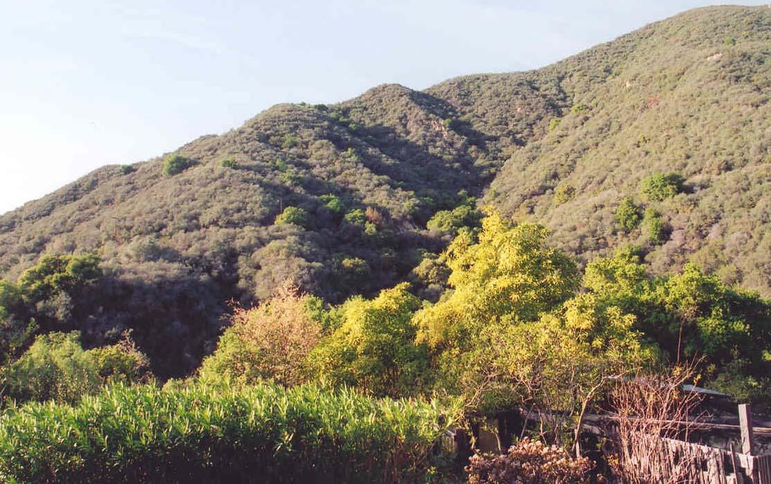 1505 Mission Canyon Road Santa Barbara, CA 93105 - Photo 3 of 3 Listing Photo