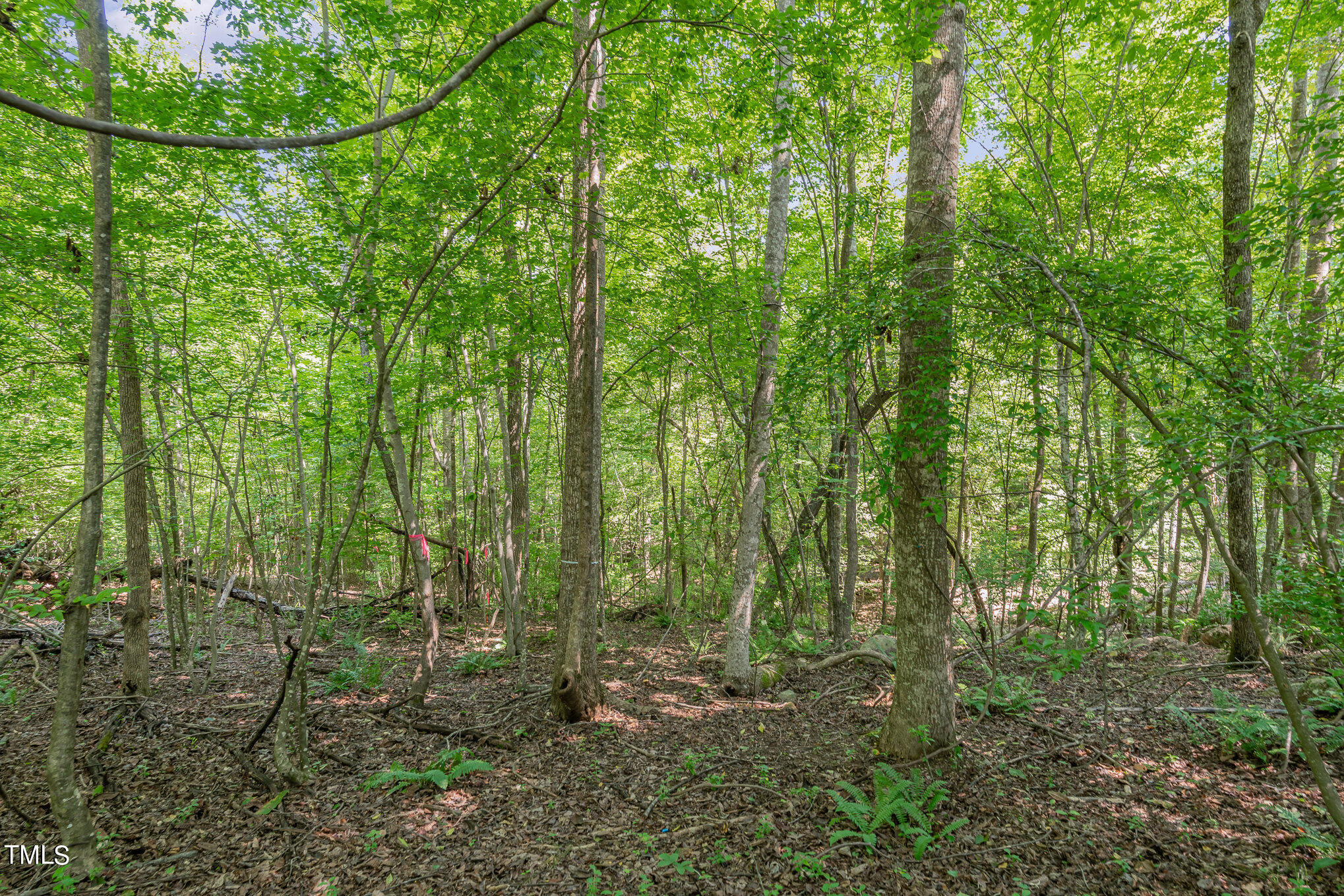 222 Kenwood Lane Pittsboro, NC 27312 - Photo 3 of 24 a view of outdoor space and green space