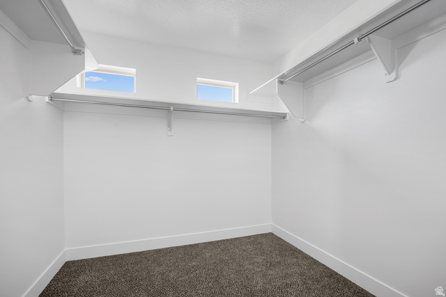 291 North Slant Road, Unit 46M Mapleton, UT 84660 - Photo 17 of 19 Walk in closet featuring dark colored carpet