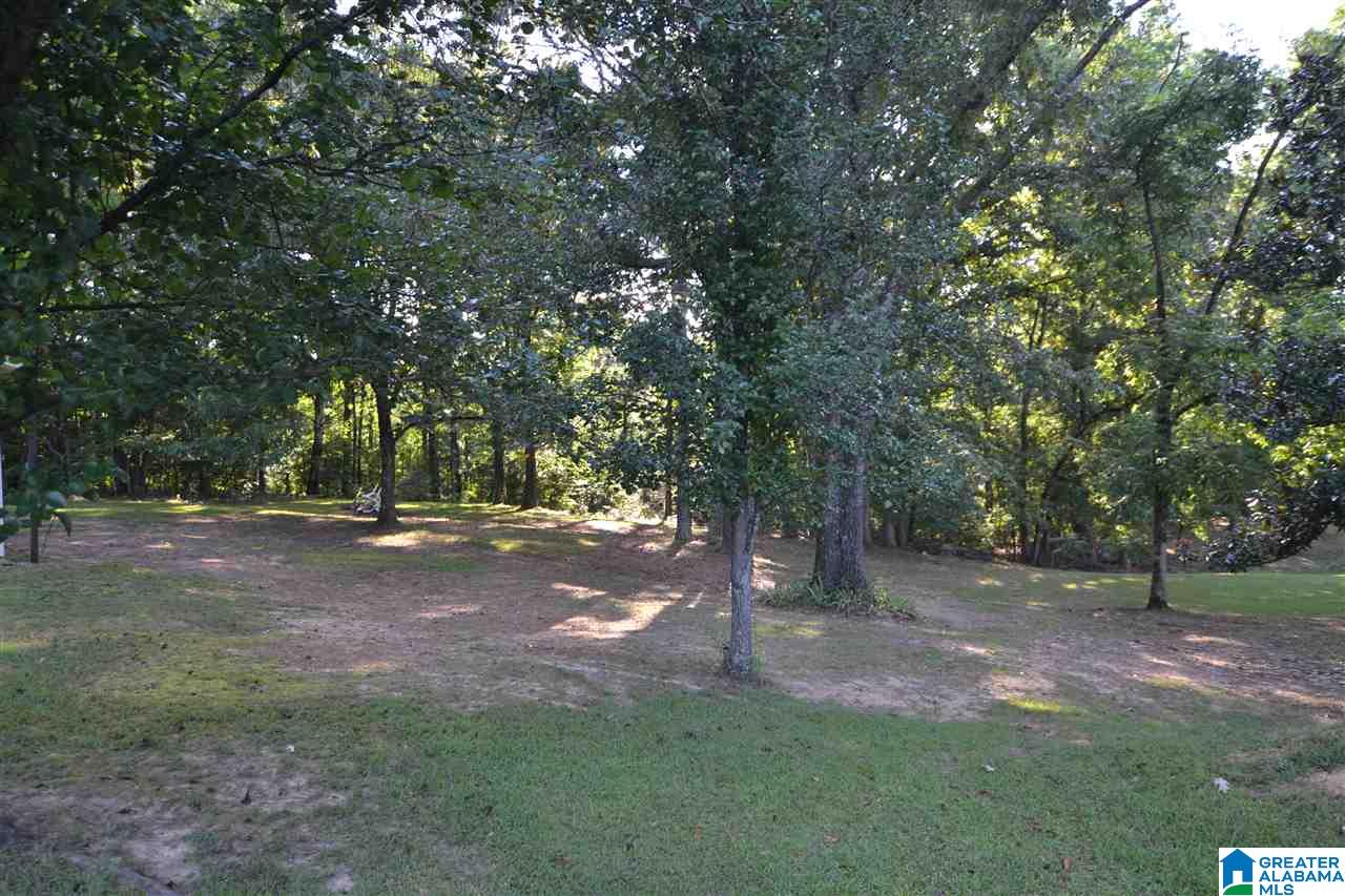 9457 Page Road Trafford, AL 35172 - Photo 25 of 28