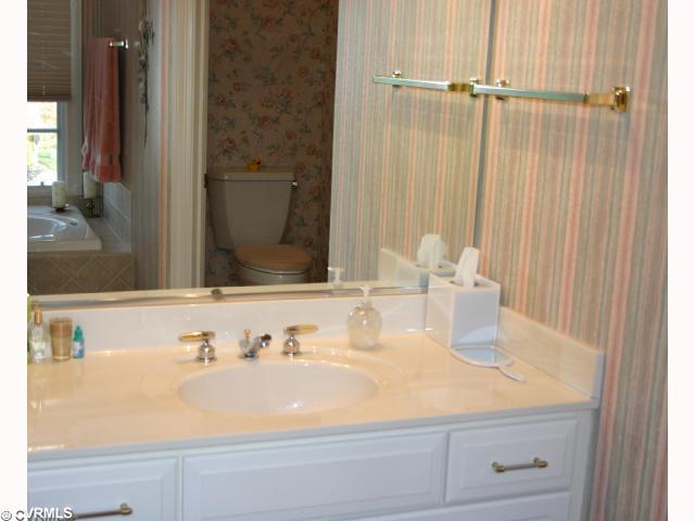 14101 Southshore Road Midlothian, VA 23112 - Photo 9 of 12 Master Bath/Spa