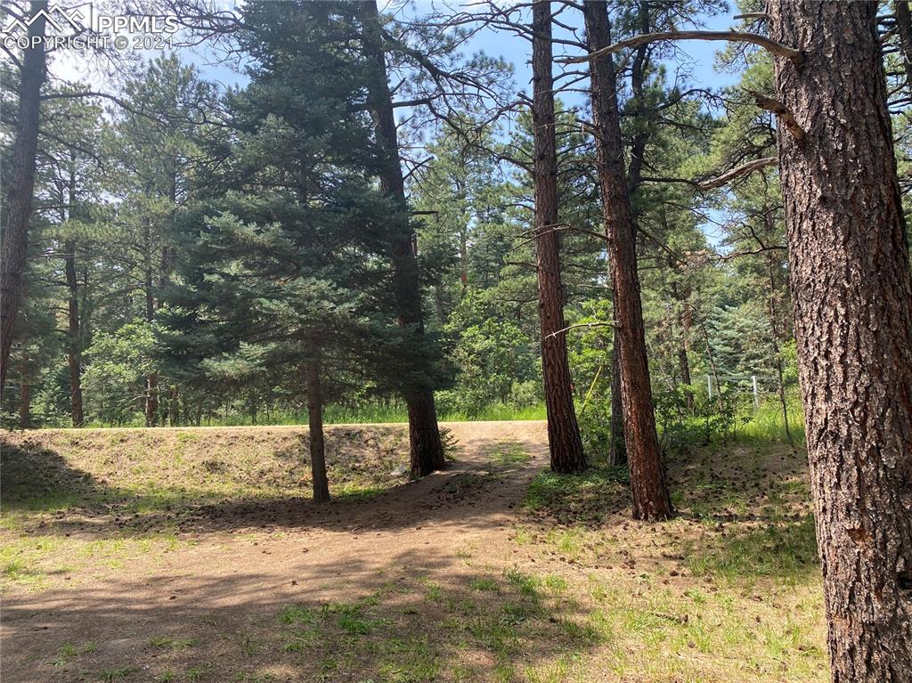 10240 Park Road Rye, CO 81069 - Photo 25 of 38