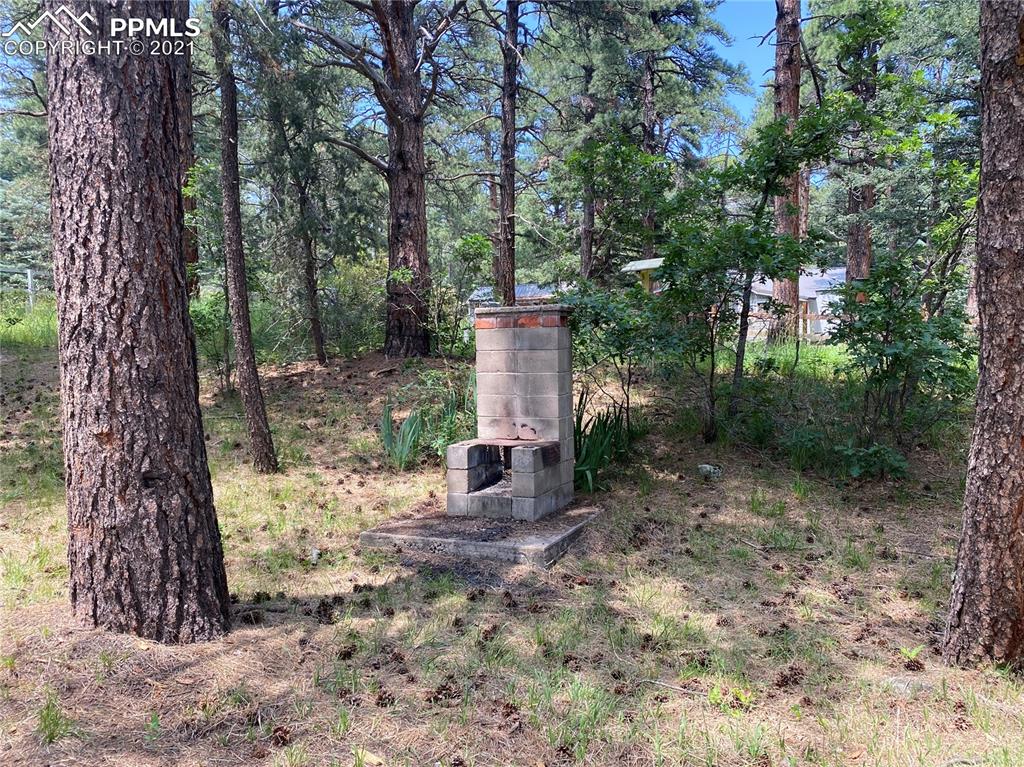 10240 Park Road Rye, CO 81069 - Photo 26 of 38