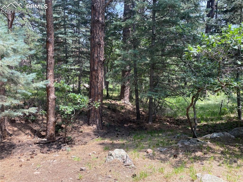 10240 Park Road Rye, CO 81069 - Photo 32 of 38