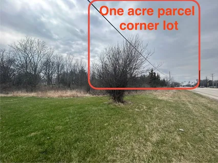 a view of a dry yard with trees