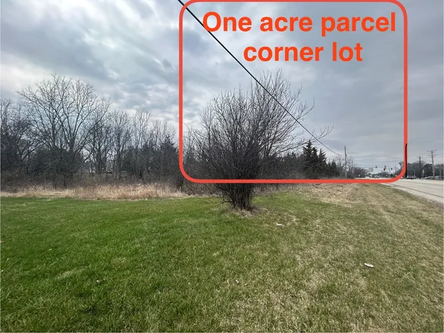 a view of a dry yard with trees