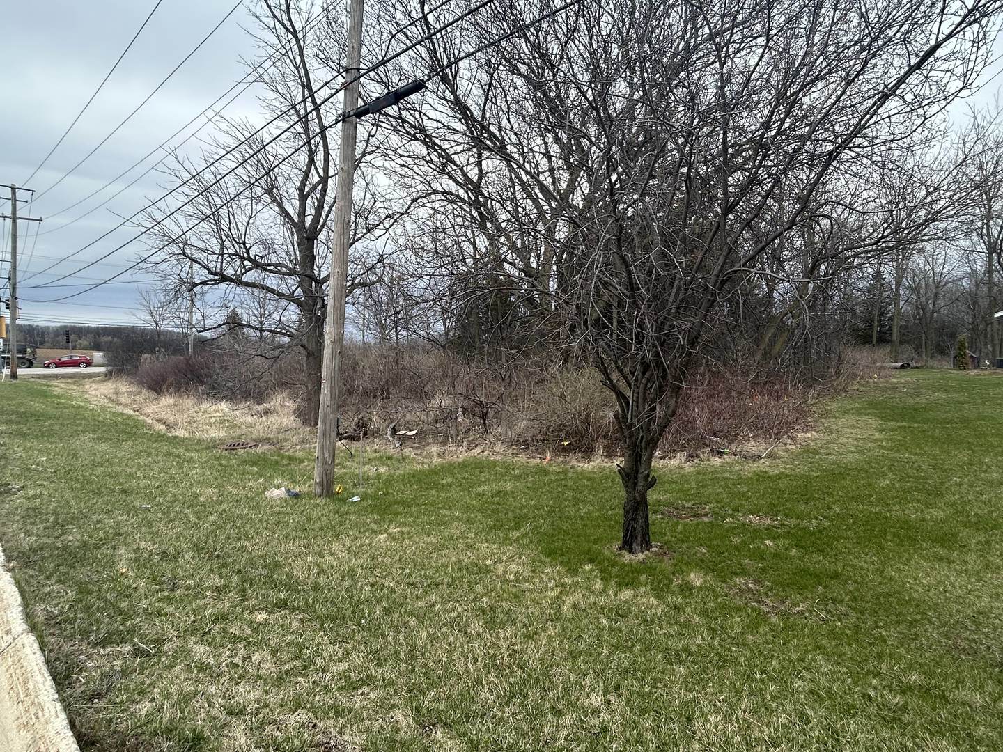 31101 North Fairfield Road Grayslake, IL 60030 - Photo 12 of 21 a view of a garden with a tree