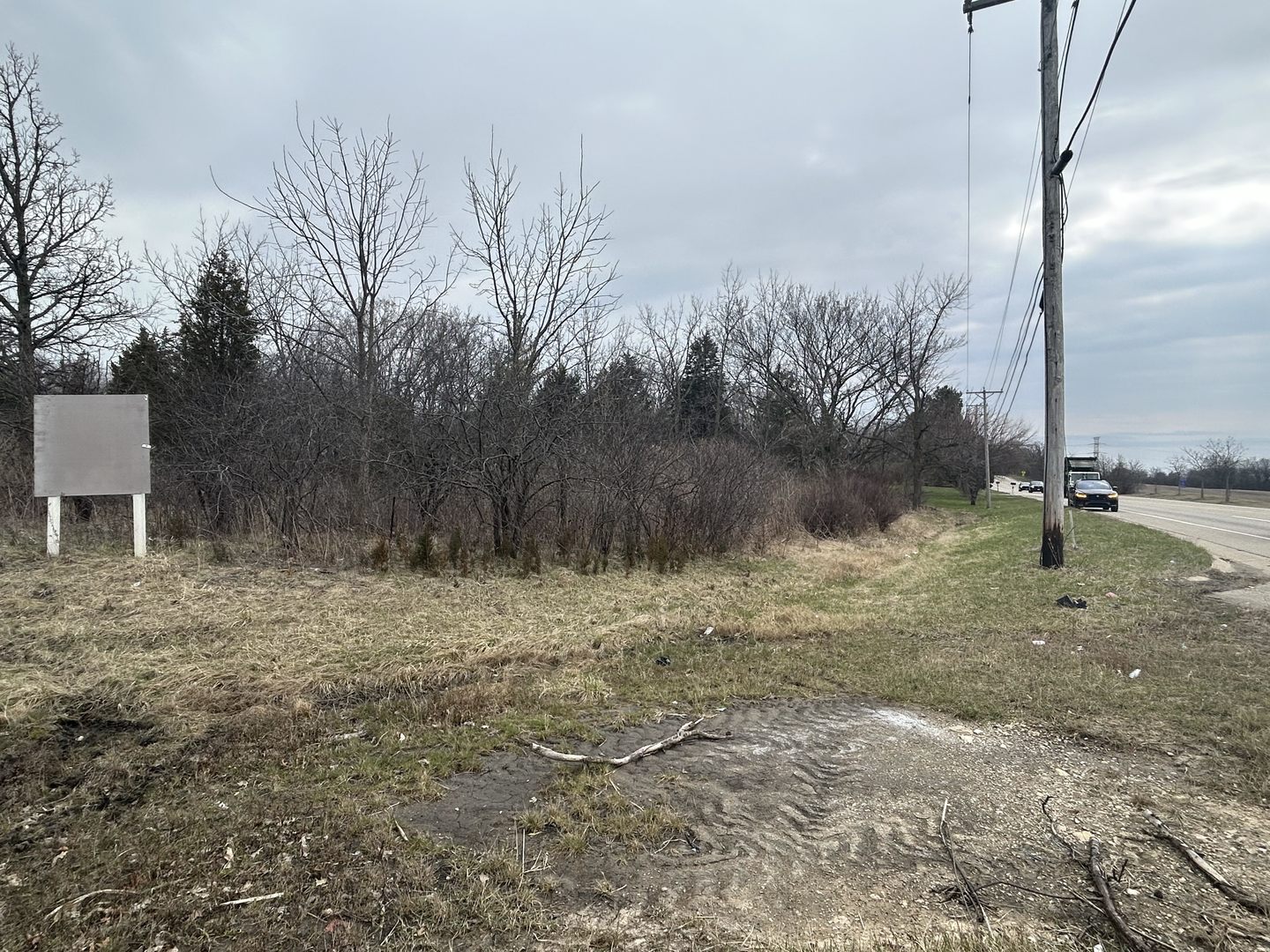 31101 North Fairfield Road Grayslake, IL 60030 - Photo 13 of 21 a view of a dry yard with trees