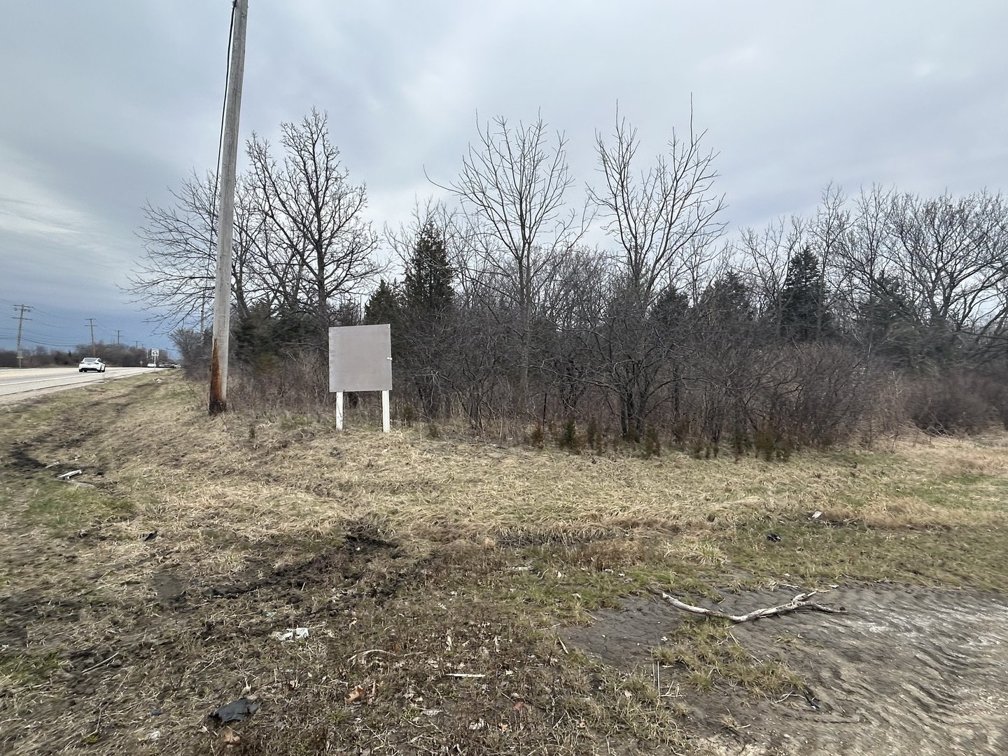 31101 North Fairfield Road Grayslake, IL 60030 - Photo 14 of 21 a fire hydrant in the middle of a field