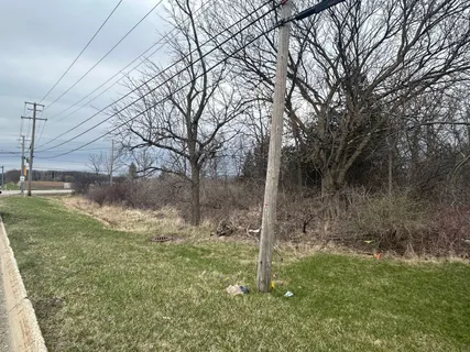a view of a yard along with trees