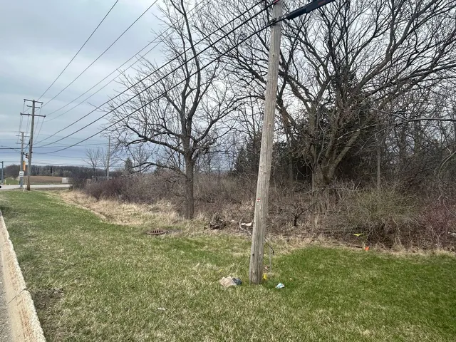 a view of a yard along with trees
