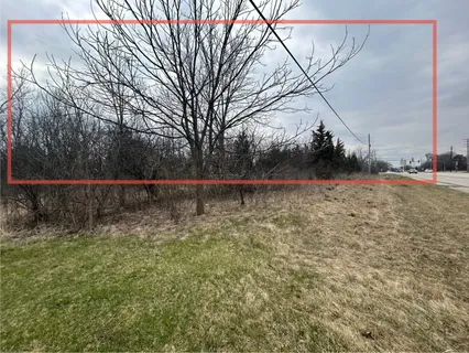 a black and white photo of a park