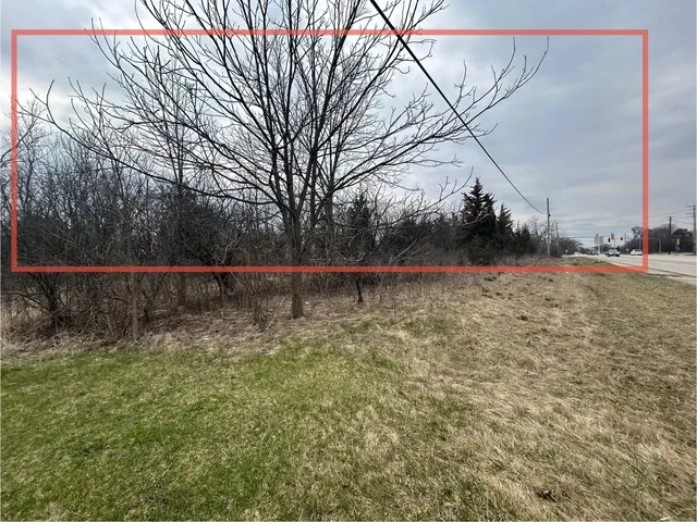 a black and white photo of a park