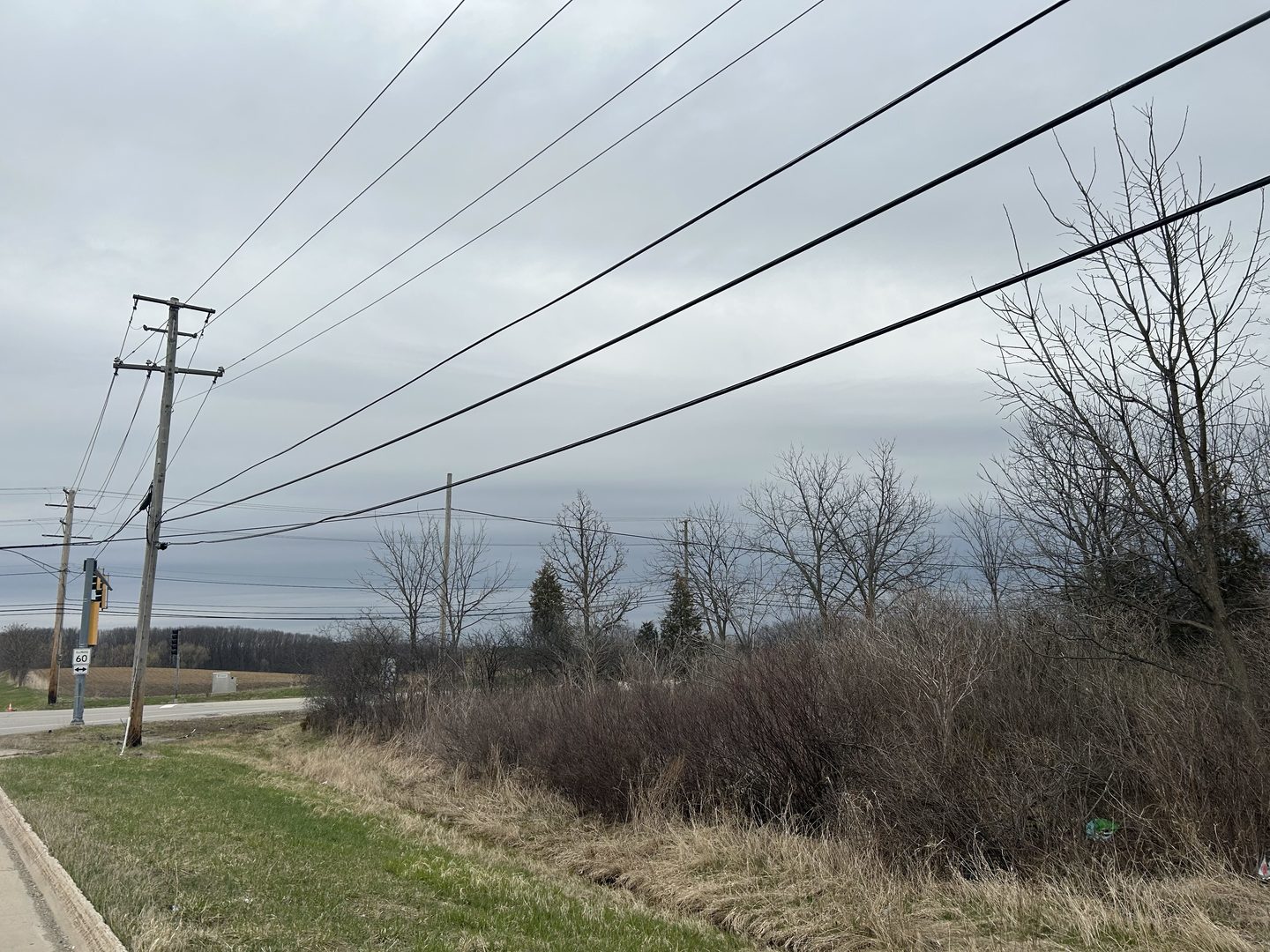 31101 North Fairfield Road Grayslake, IL 60030 - Photo 6 of 21 a view of a yard along with trees