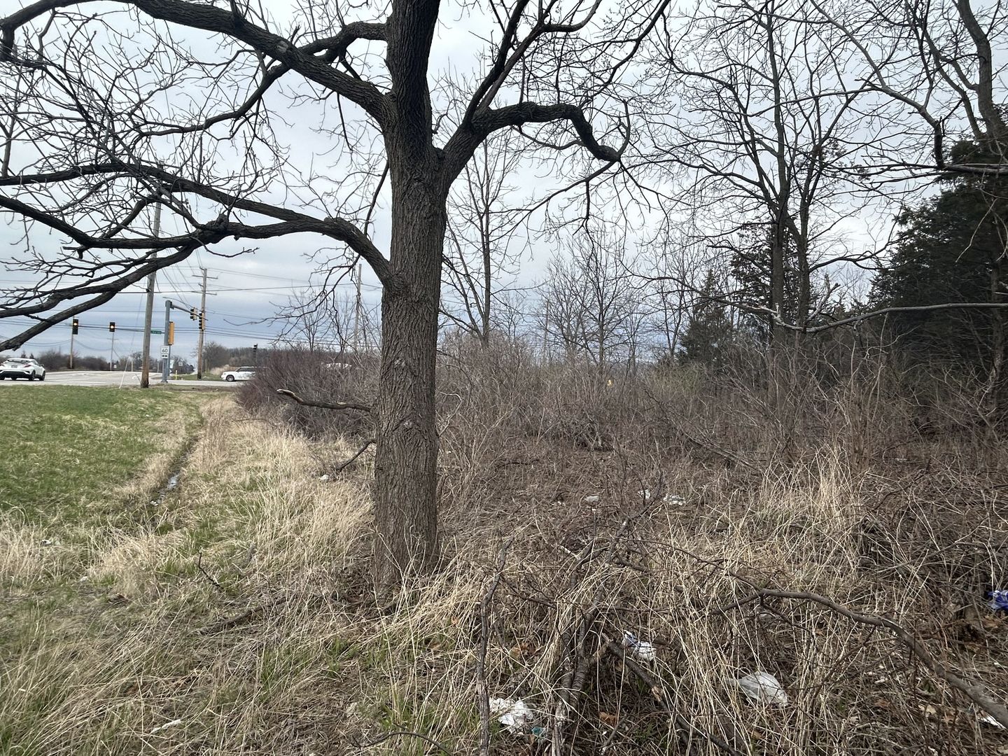31101 North Fairfield Road Grayslake, IL 60030 - Photo 8 of 21 a view of a yard with large trees