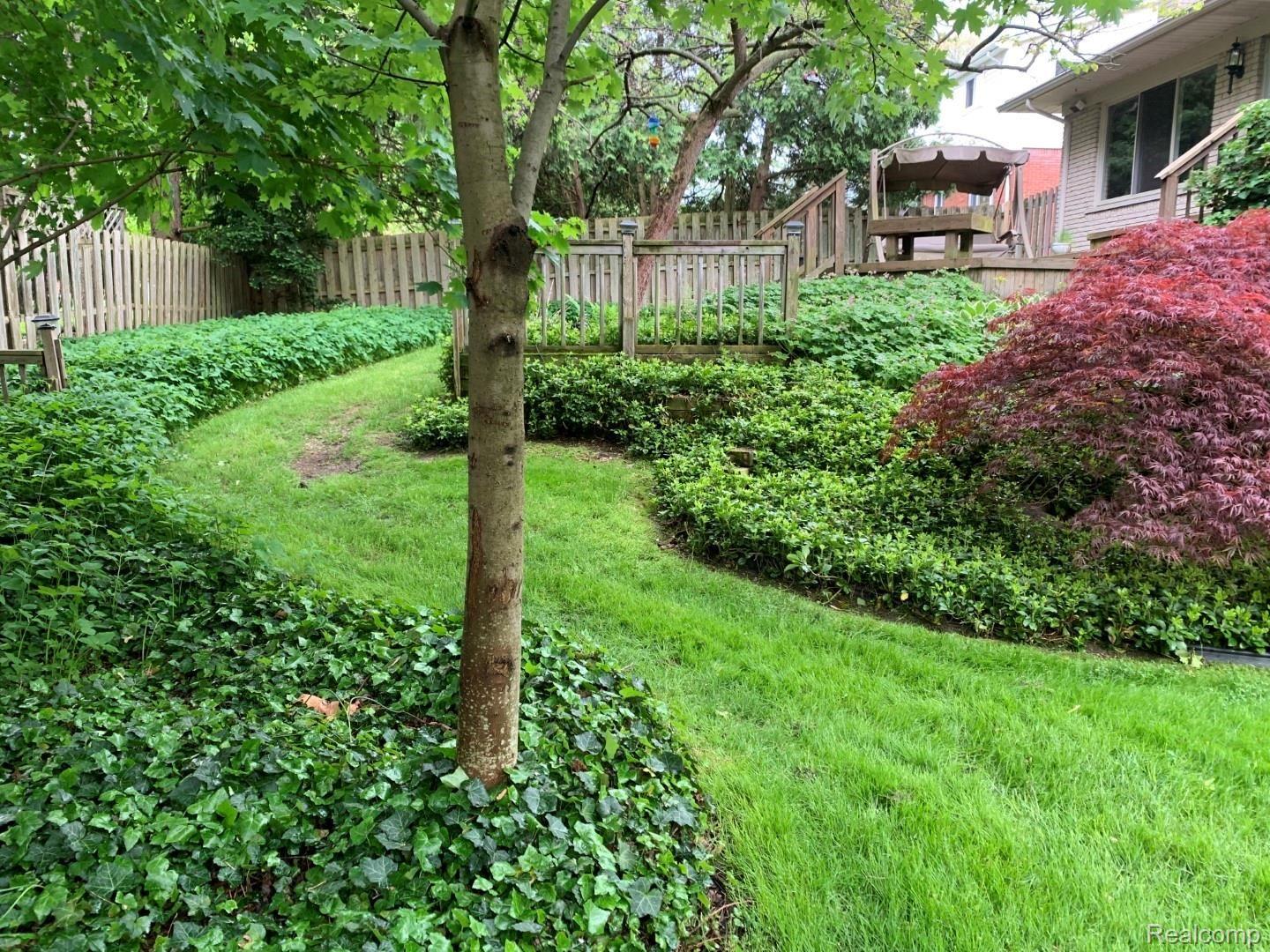 739 Wilwood Road Rochester, MI 48309 - Photo 99 of 99 RearYard (2).jpg