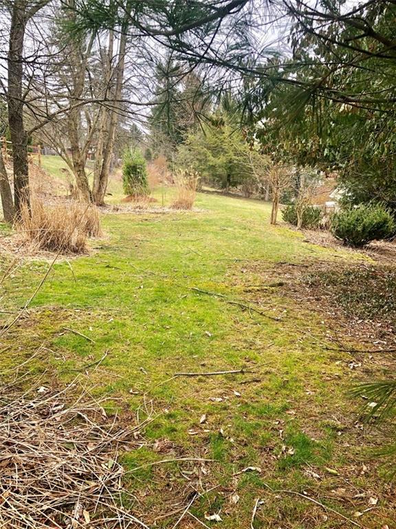 143 Boxfield Road Pittsburgh, PA 15241 - Photo 22 of 25 backyard view