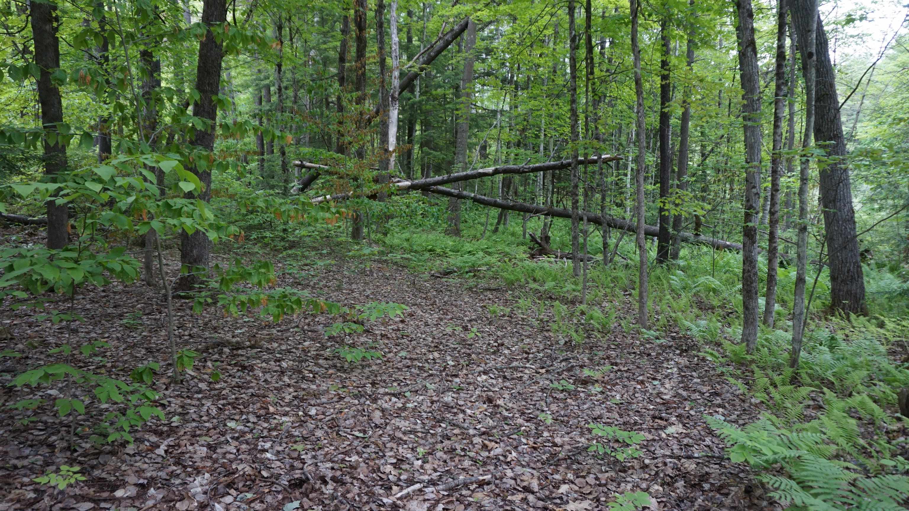 0 Old County Road Plainfield, NH 03781 - Photo 4 of 10