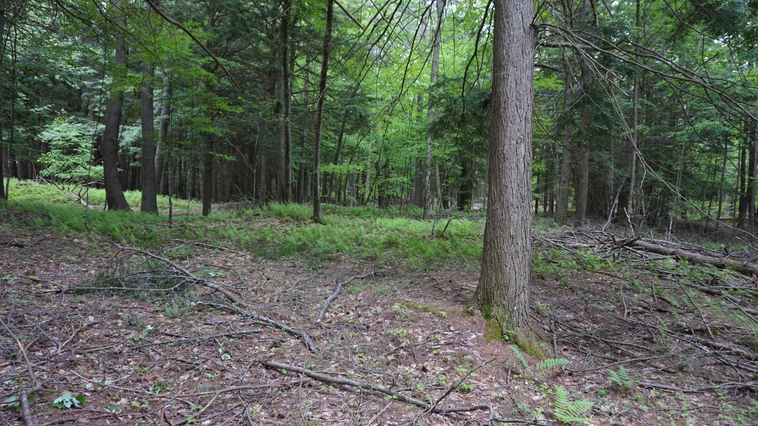 0 Old County Road Plainfield, NH 03781 - Photo 5 of 10