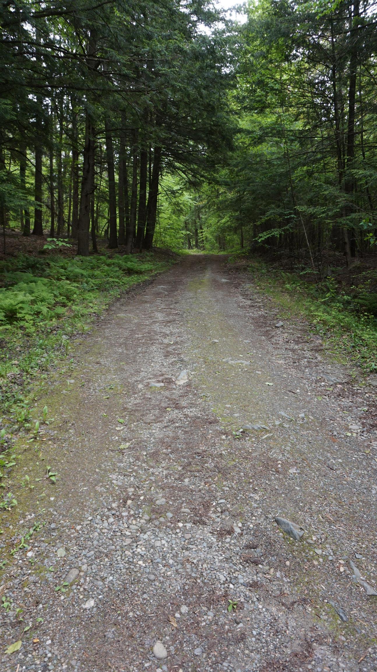 0 Old County Road Plainfield, NH 03781 - Photo 6 of 10