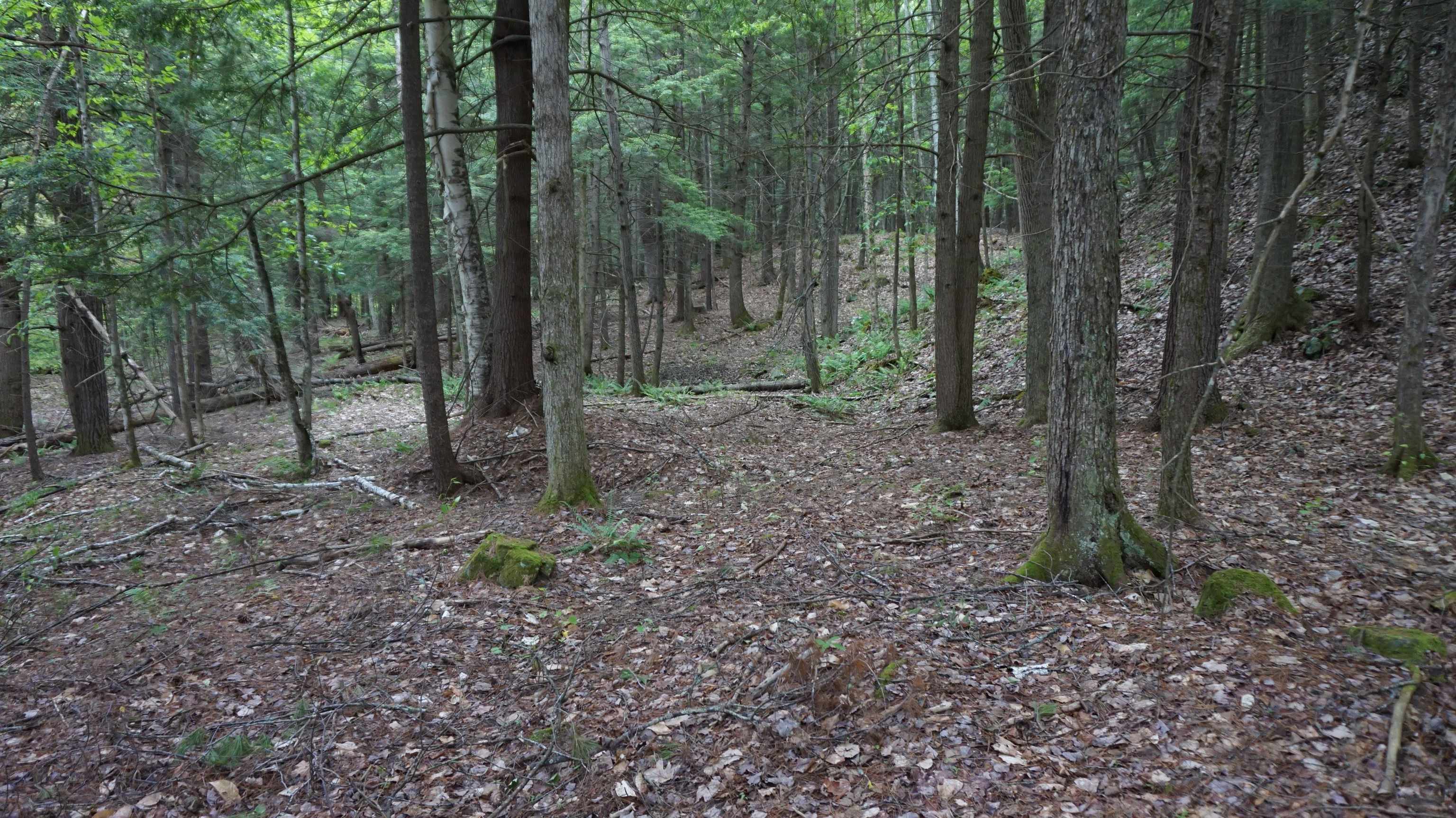 0 Old County Road Plainfield, NH 03781 - Photo 7 of 10