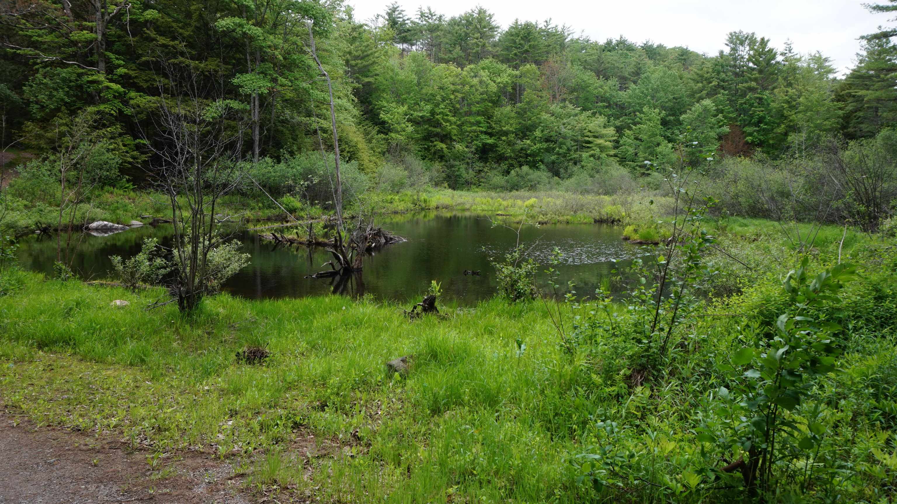 0 Old County Road Plainfield, NH 03781 - Photo 8 of 10