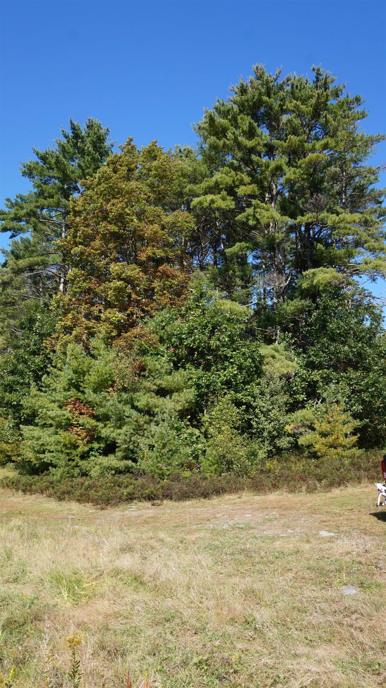 0 Old County Road Plainfield, NH 03781 - Photo 9 of 10