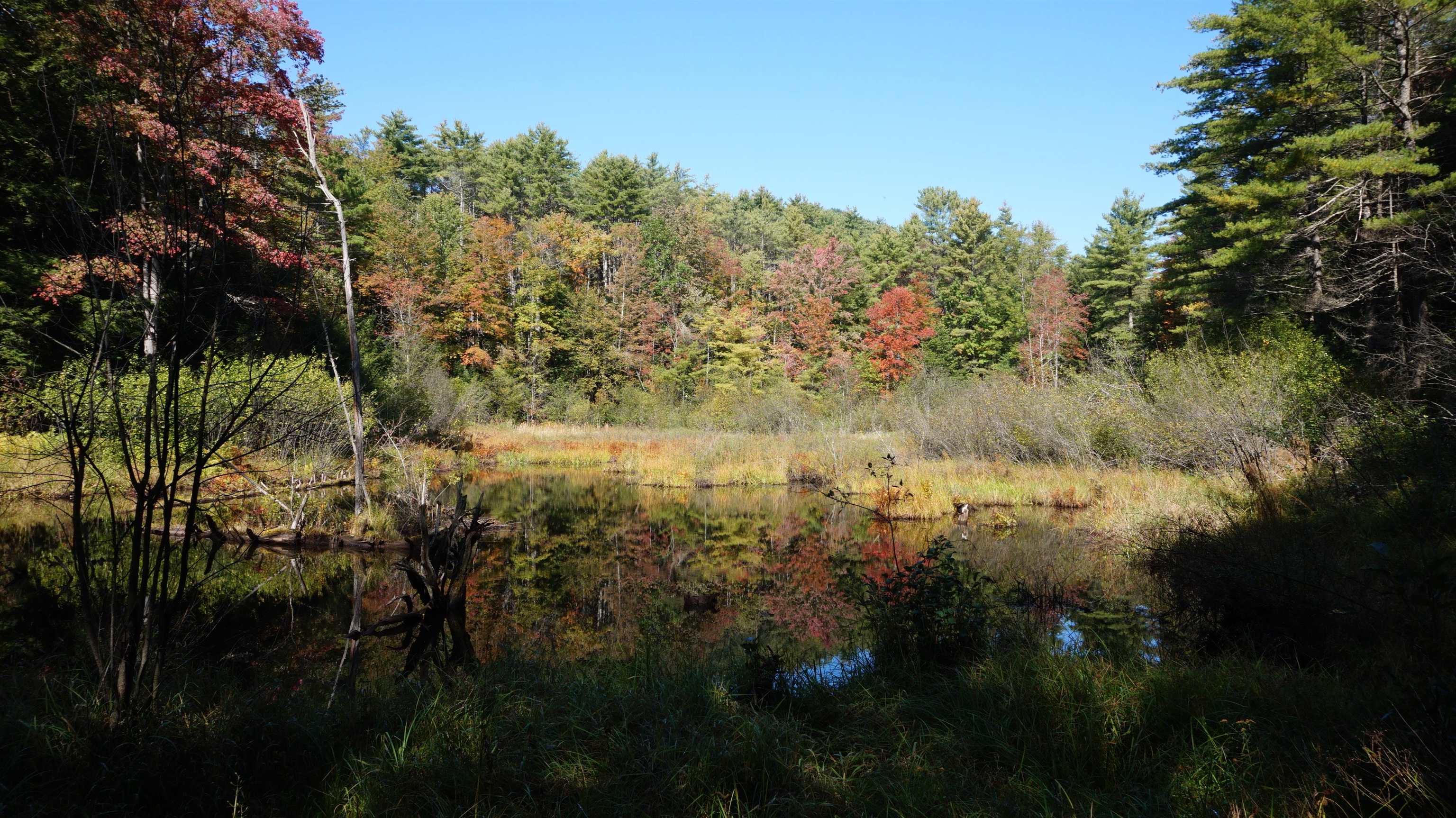 0 Old County Road Plainfield, NH 03781 - Photo 10 of 10