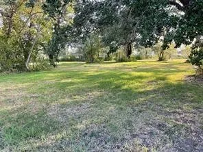 a view of outdoor space with trees all around