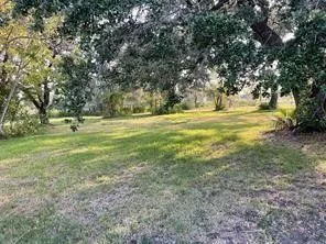 a view of outdoor space with trees all around